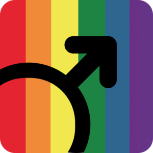 logo Gaystryrst